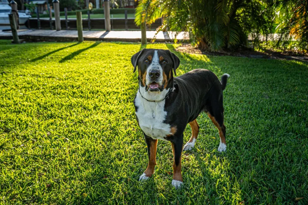 DSC09070 Enhanced NR